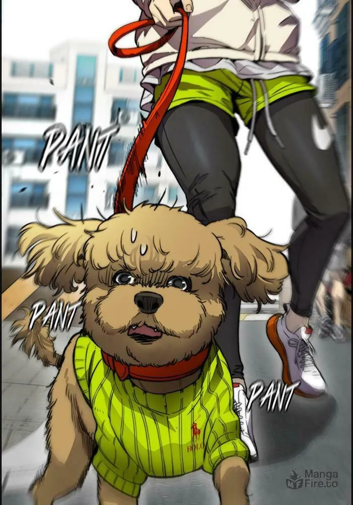 Wind Breaker Chapter 387 page 87 - 