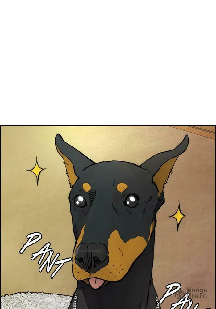 Wind Breaker Chapter 400 page 189 - 