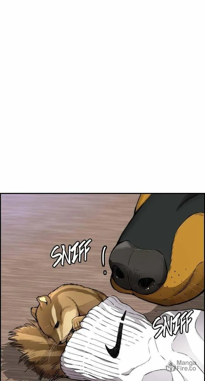 Wind Breaker Chapter 411 page 100 - 
