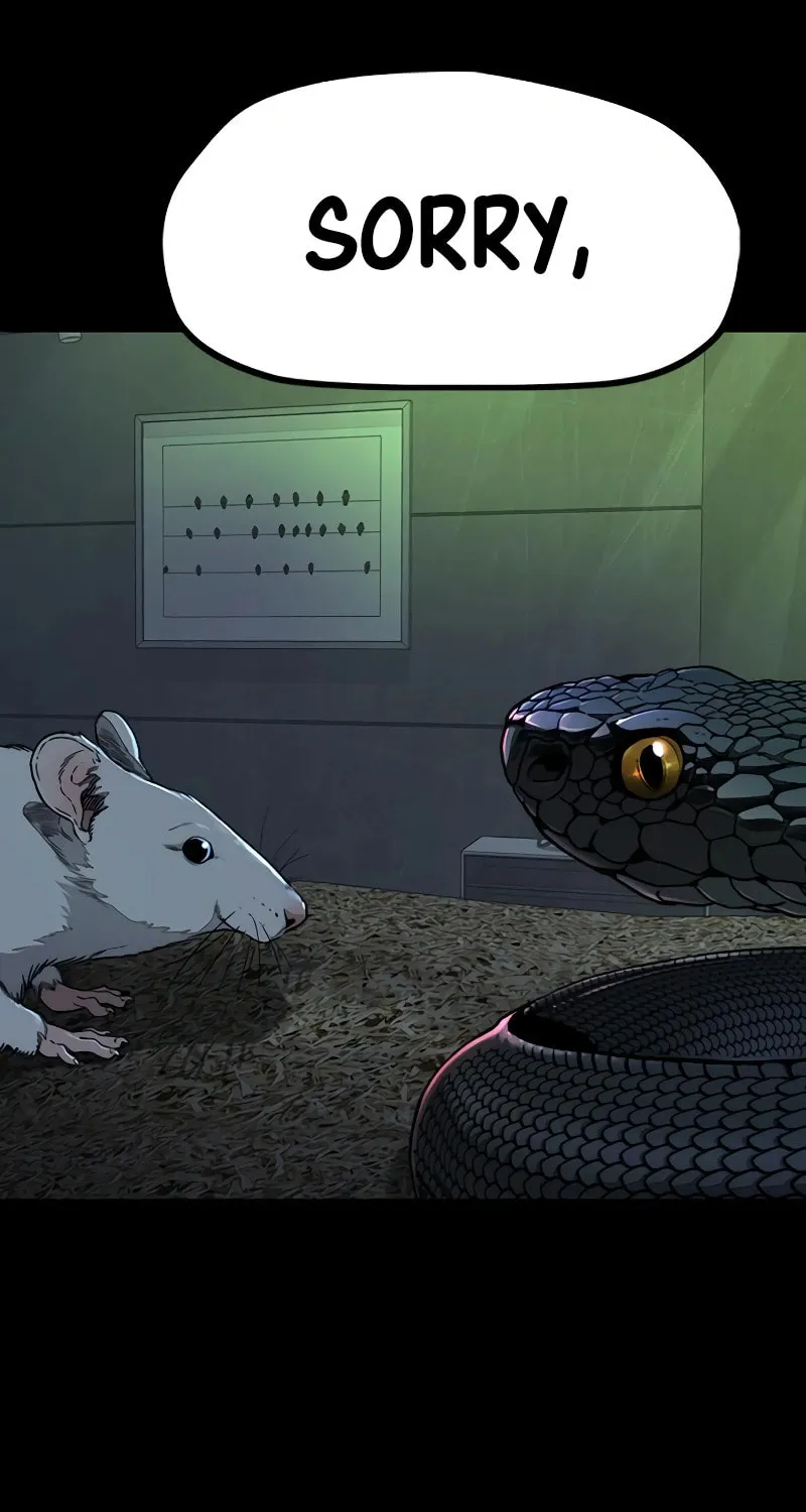 Wind Breaker Chapter 523 page 141 - 
