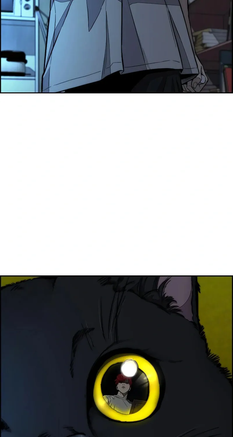 Wind Breaker Chapter 524 page 55 - 