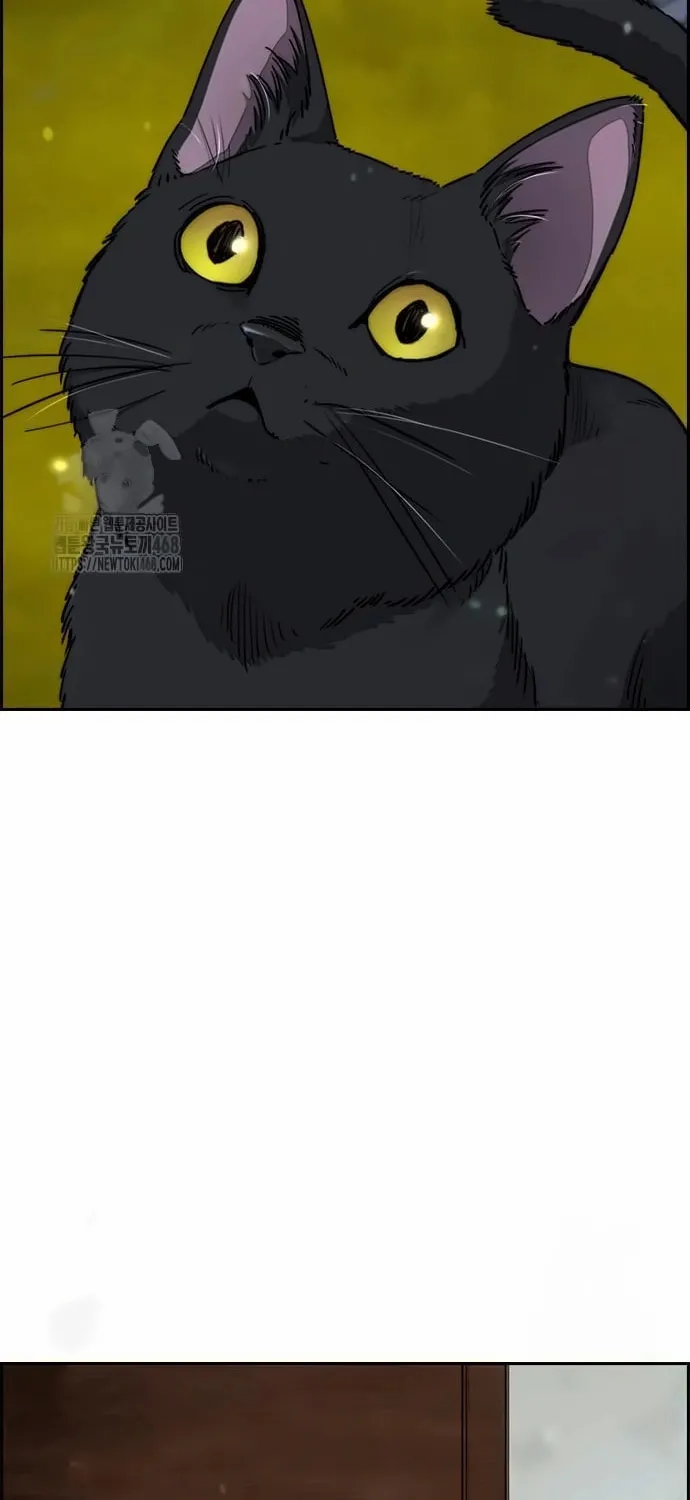 Wind Breaker Chapter 547 page 100 - 