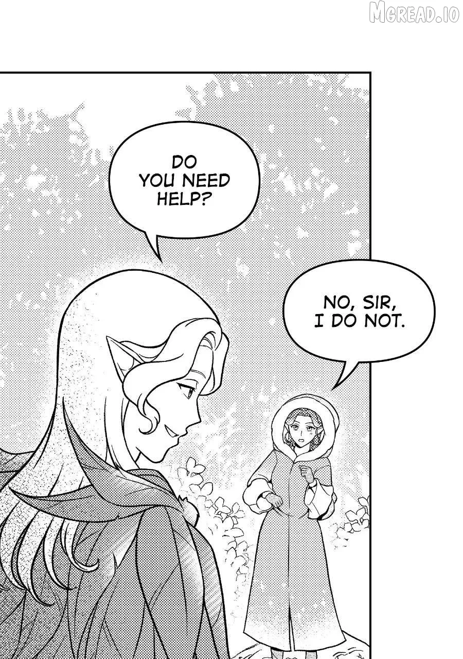 Wings of Starlight Chapter 13 page 13 - 