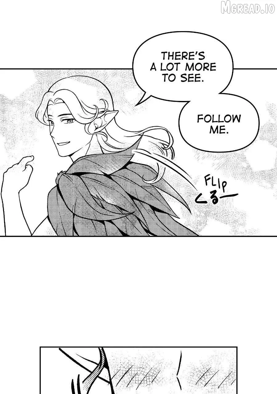 Wings of Starlight Chapter 13 page 28 - 