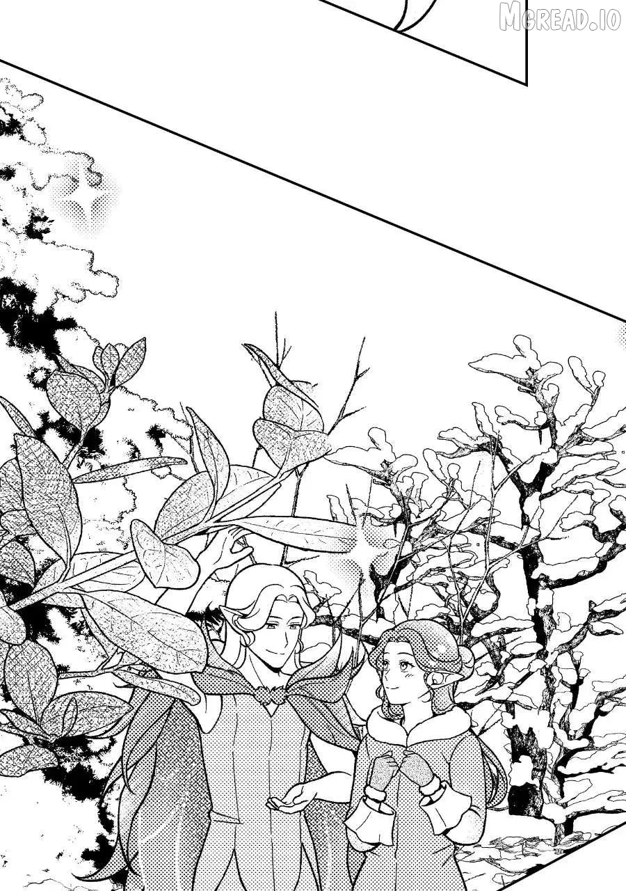 Wings of Starlight Chapter 13 page 32 - 