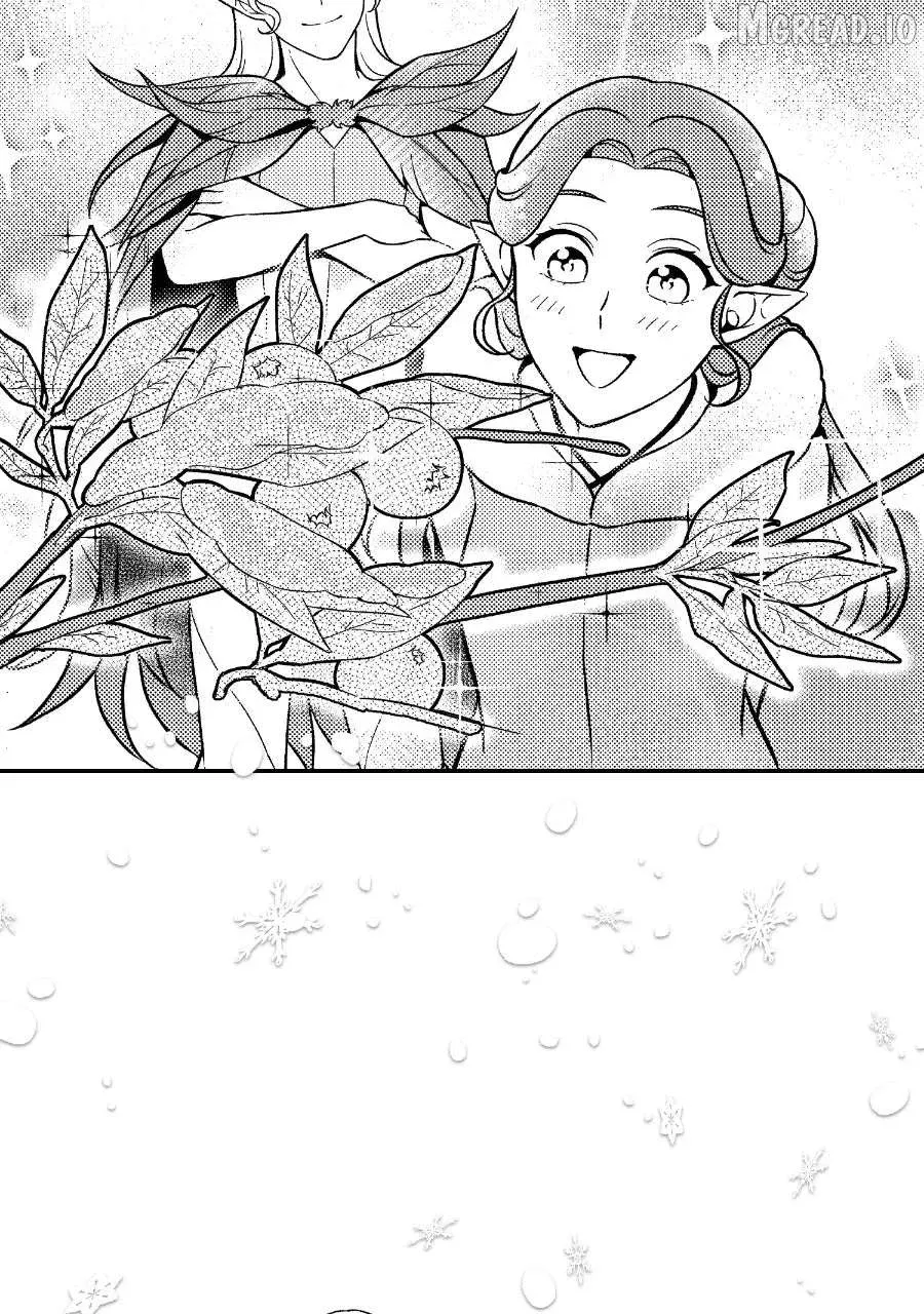 Wings of Starlight Chapter 13 page 35 - 