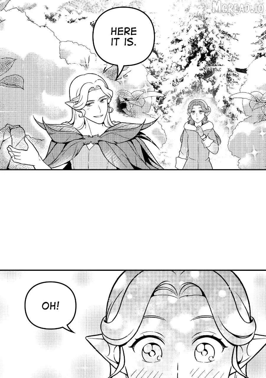Wings of Starlight Chapter 13 page 37 - 