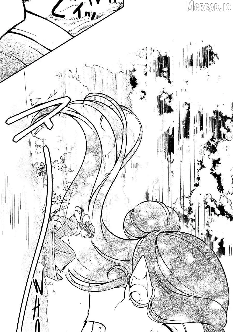 Wings of Starlight Chapter 13 page 47 - 