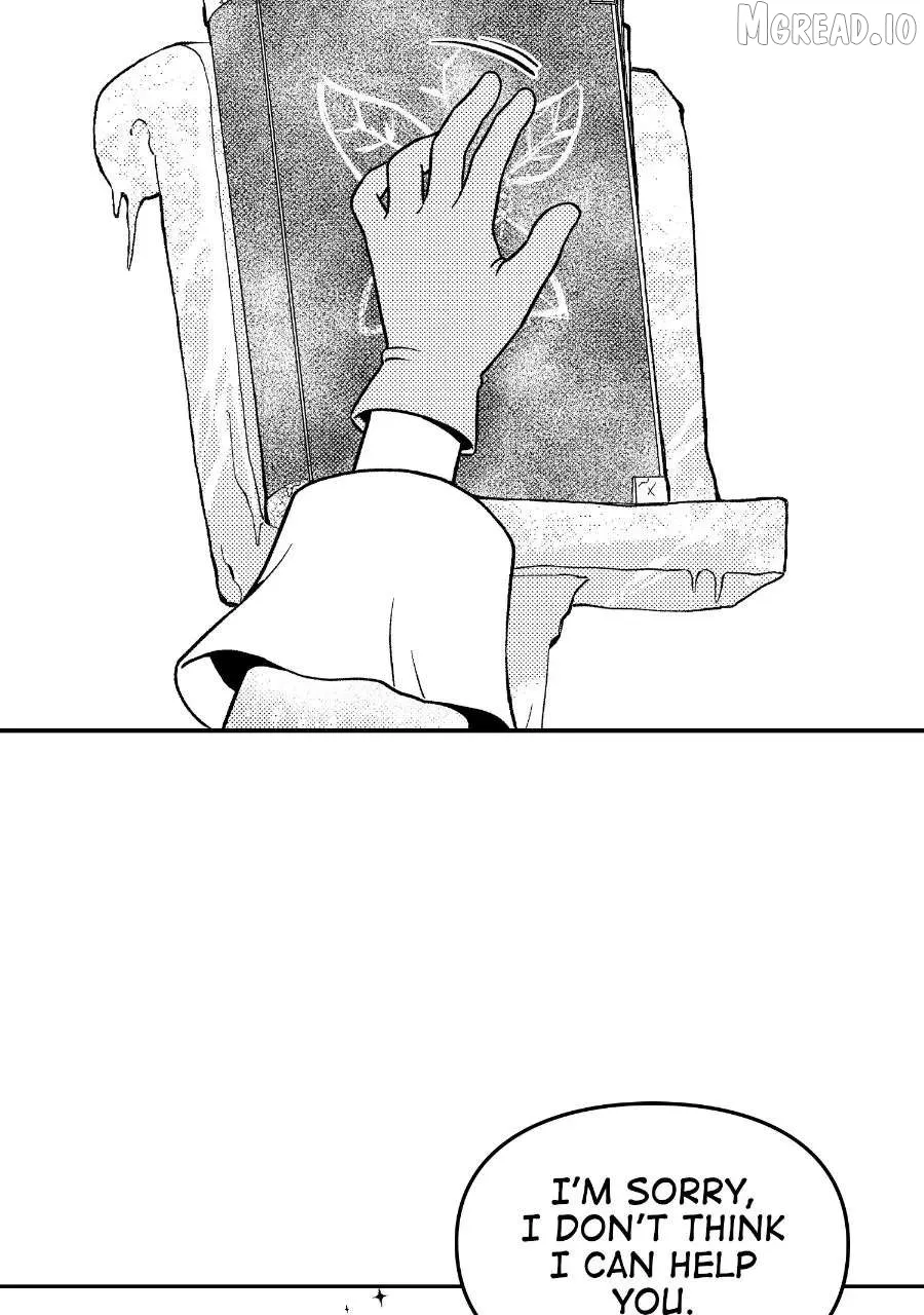 Wings of Starlight Chapter 14 page 28 - 