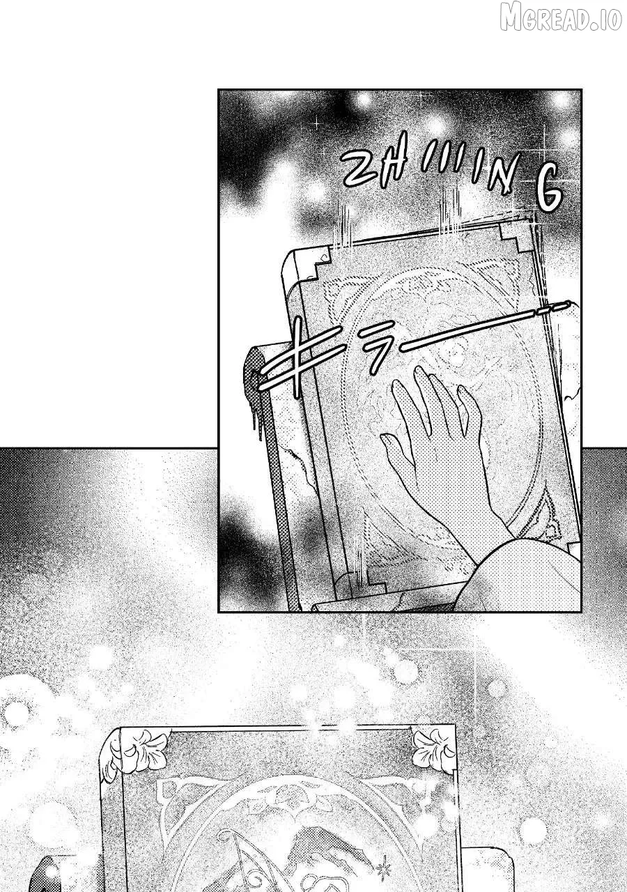Wings of Starlight Chapter 14 page 33 - 
