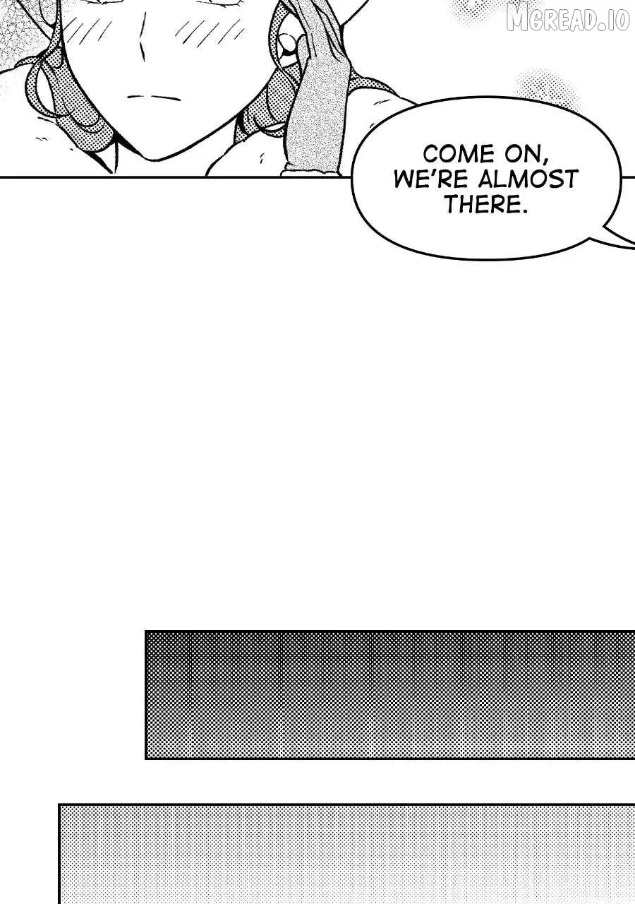 Wings of Starlight Chapter 14 page 5 - 