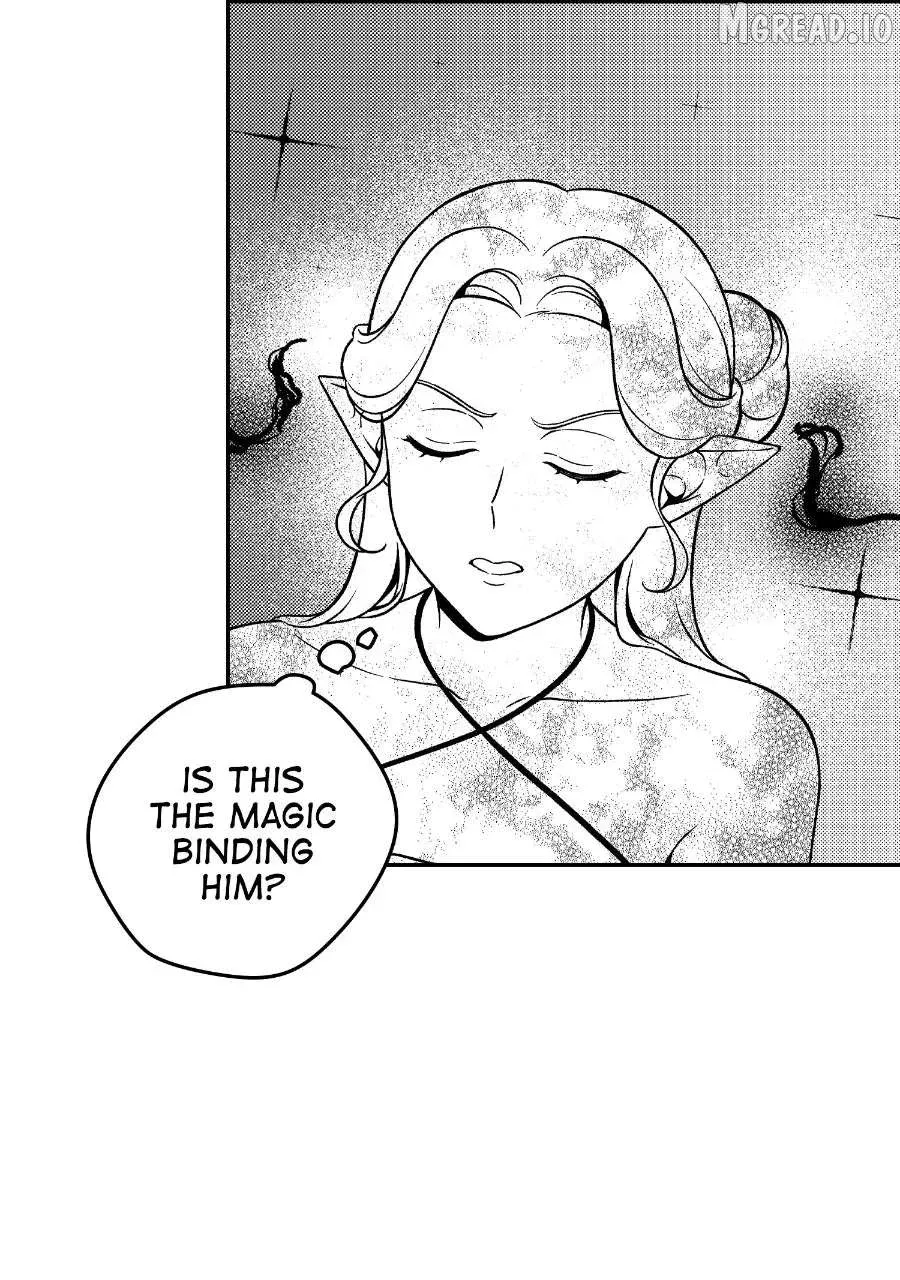 Wings of Starlight Chapter 15 page 14 - 