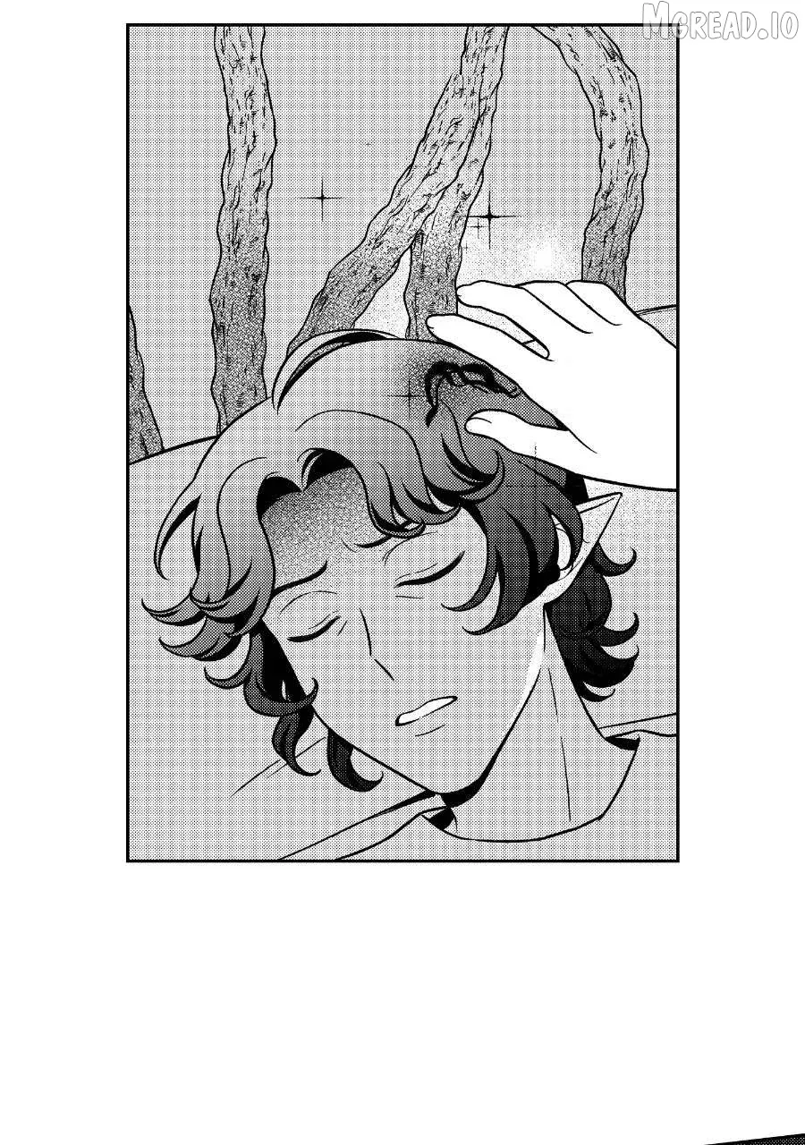 Wings of Starlight Chapter 15 page 15 - 