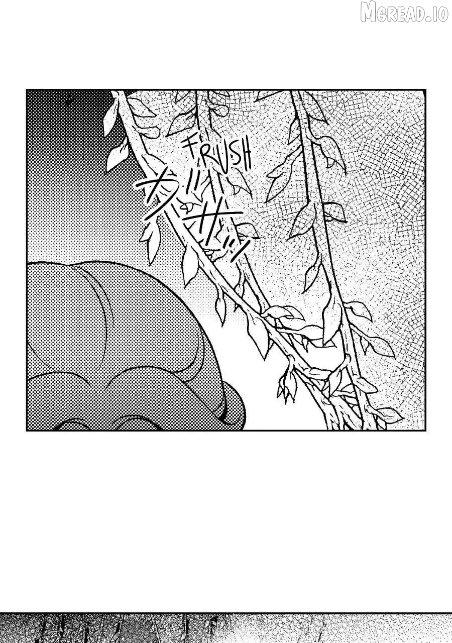 Wings of Starlight Chapter 15 page 31 - 