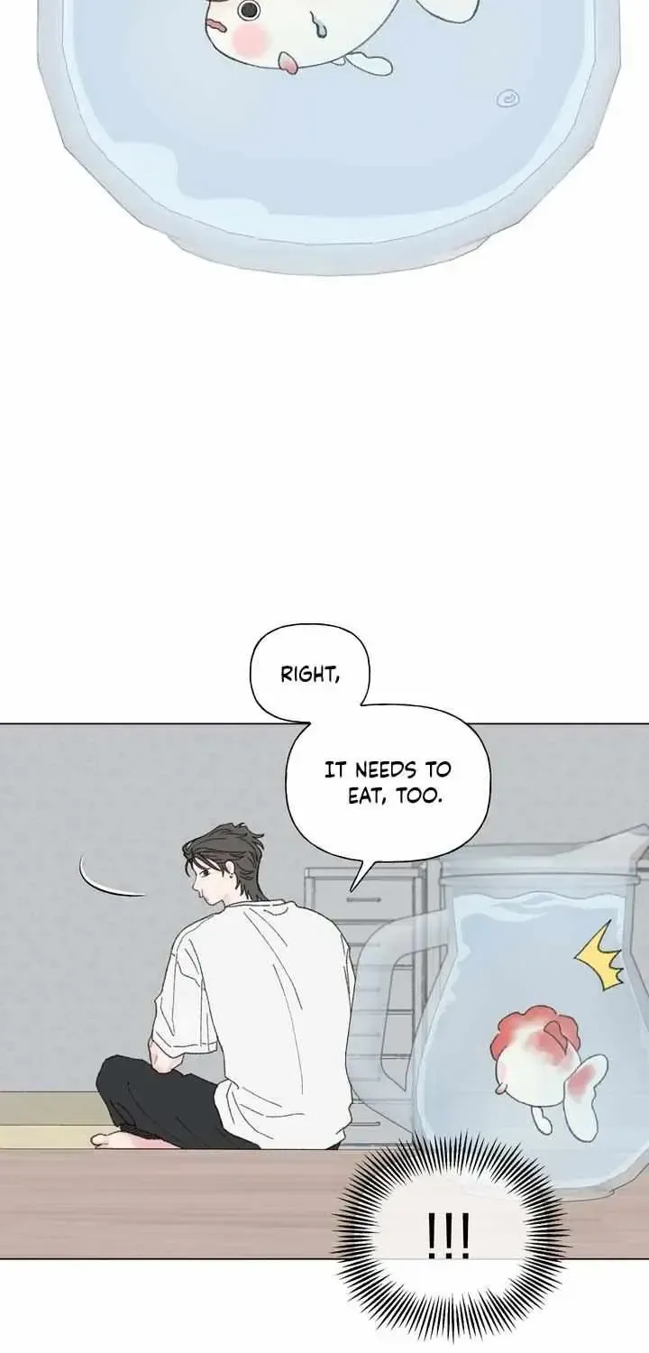 Winsome Oranda Chapter 1.1 page 27 - 