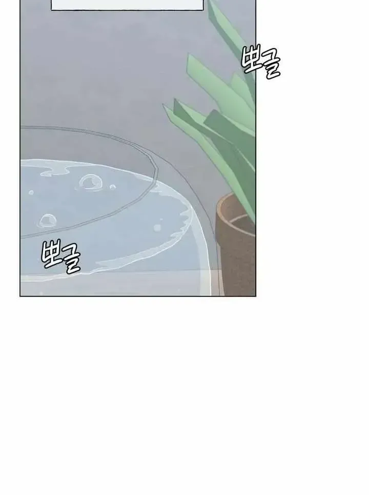 Winsome Oranda Chapter 1.1 page 36 - 