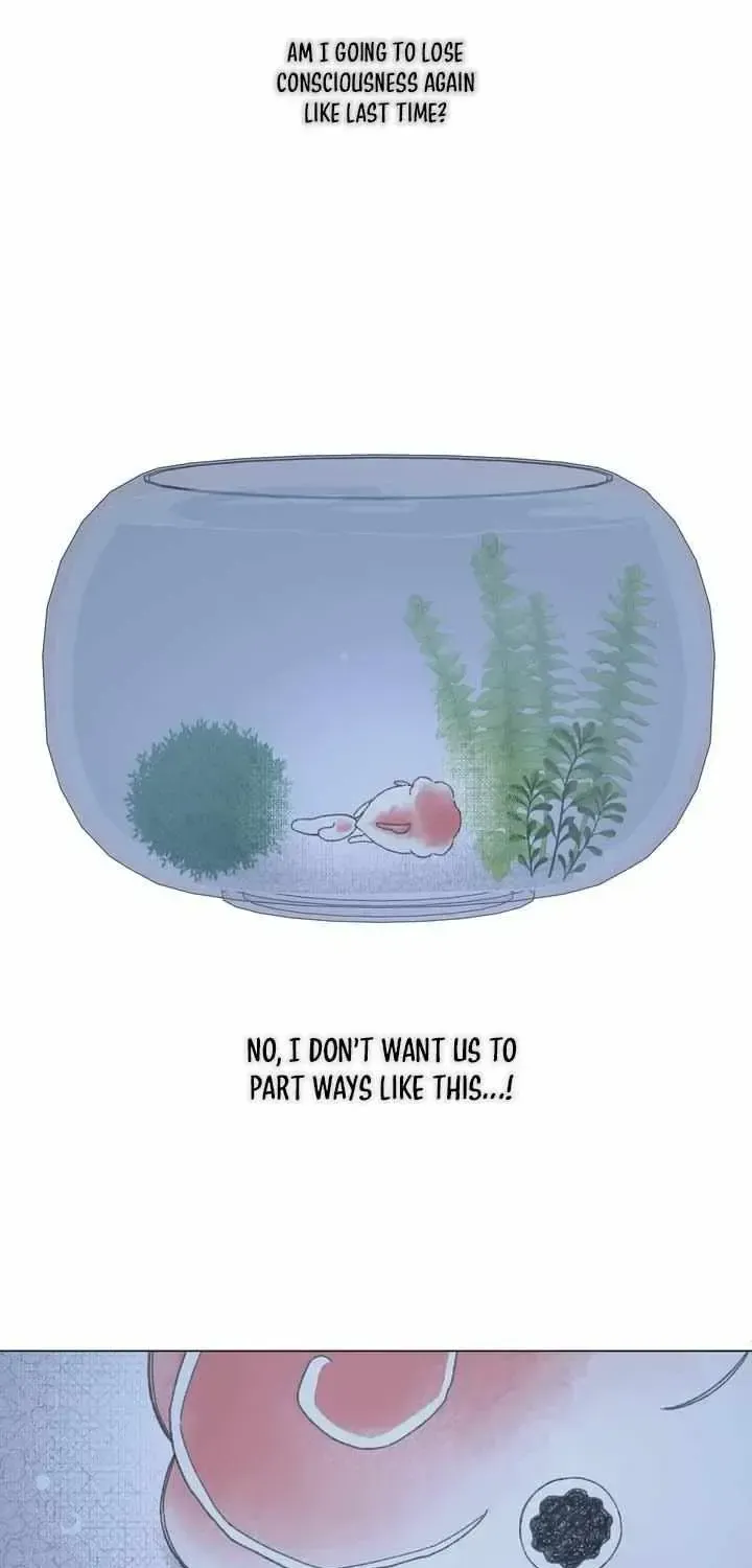 Winsome Oranda Chapter 1.1 page 55 - 