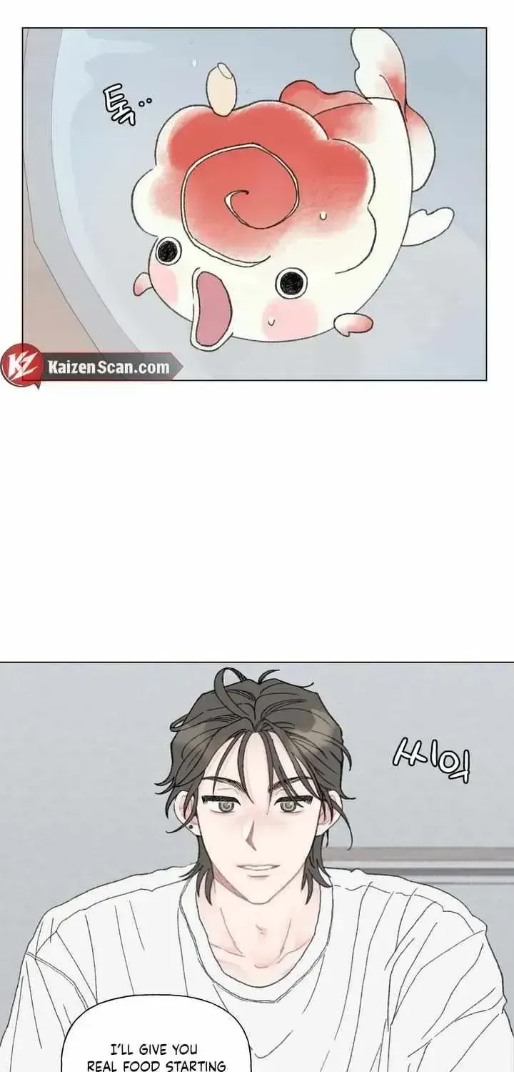 Winsome Oranda Chapter 1.2 page 31 - 