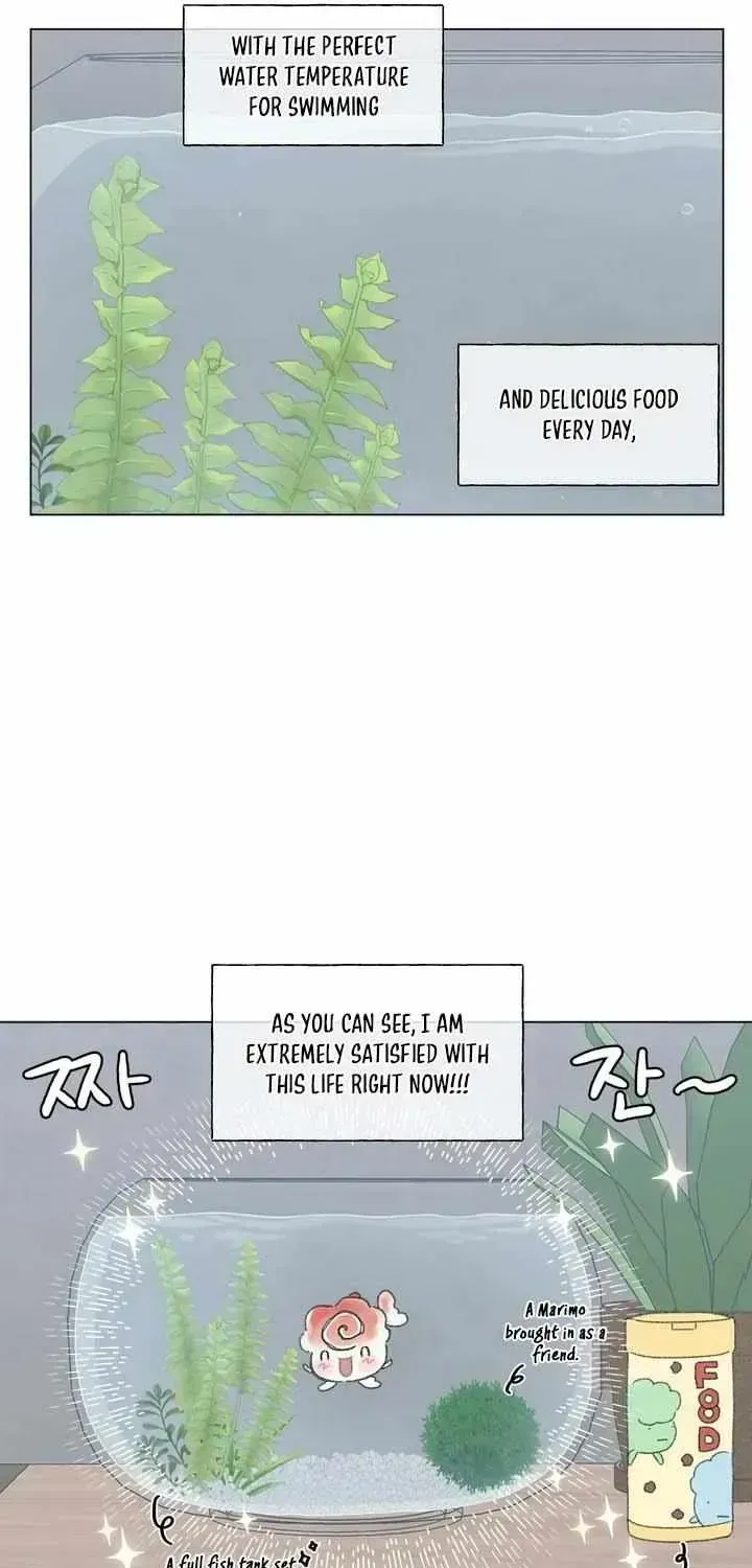 Winsome Oranda Chapter 1.2 page 37 - 
