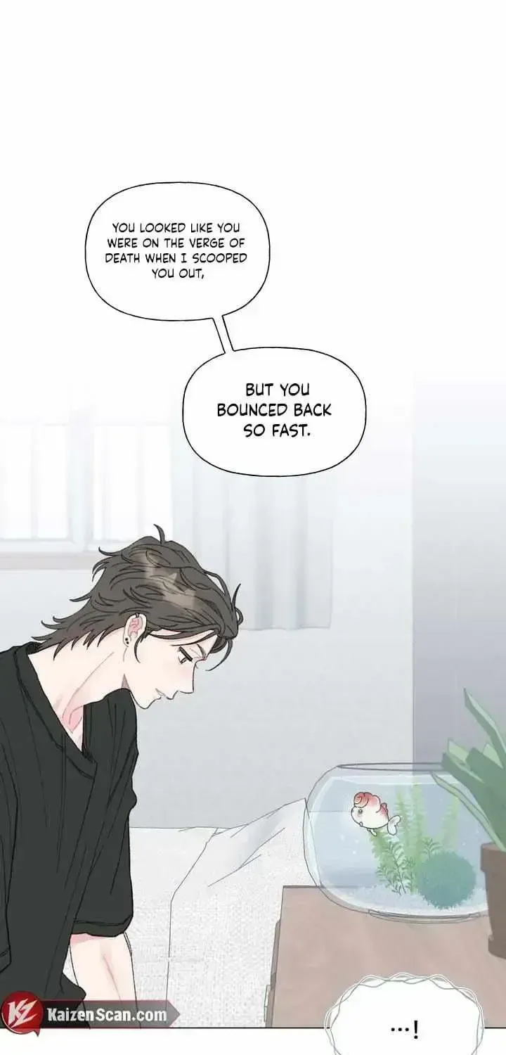 Winsome Oranda Chapter 1.2 page 48 - 