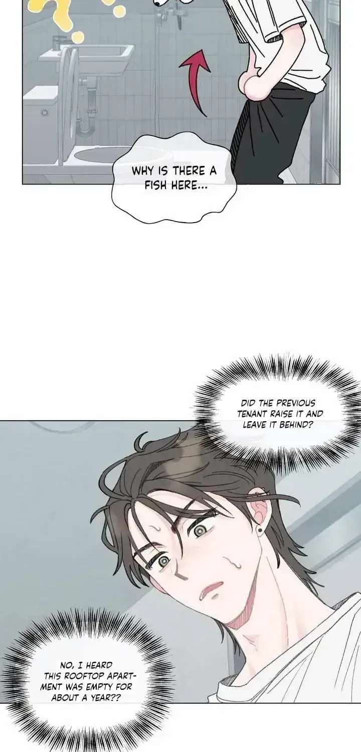 Winsome Oranda Chapter 1.3 page 18 - 