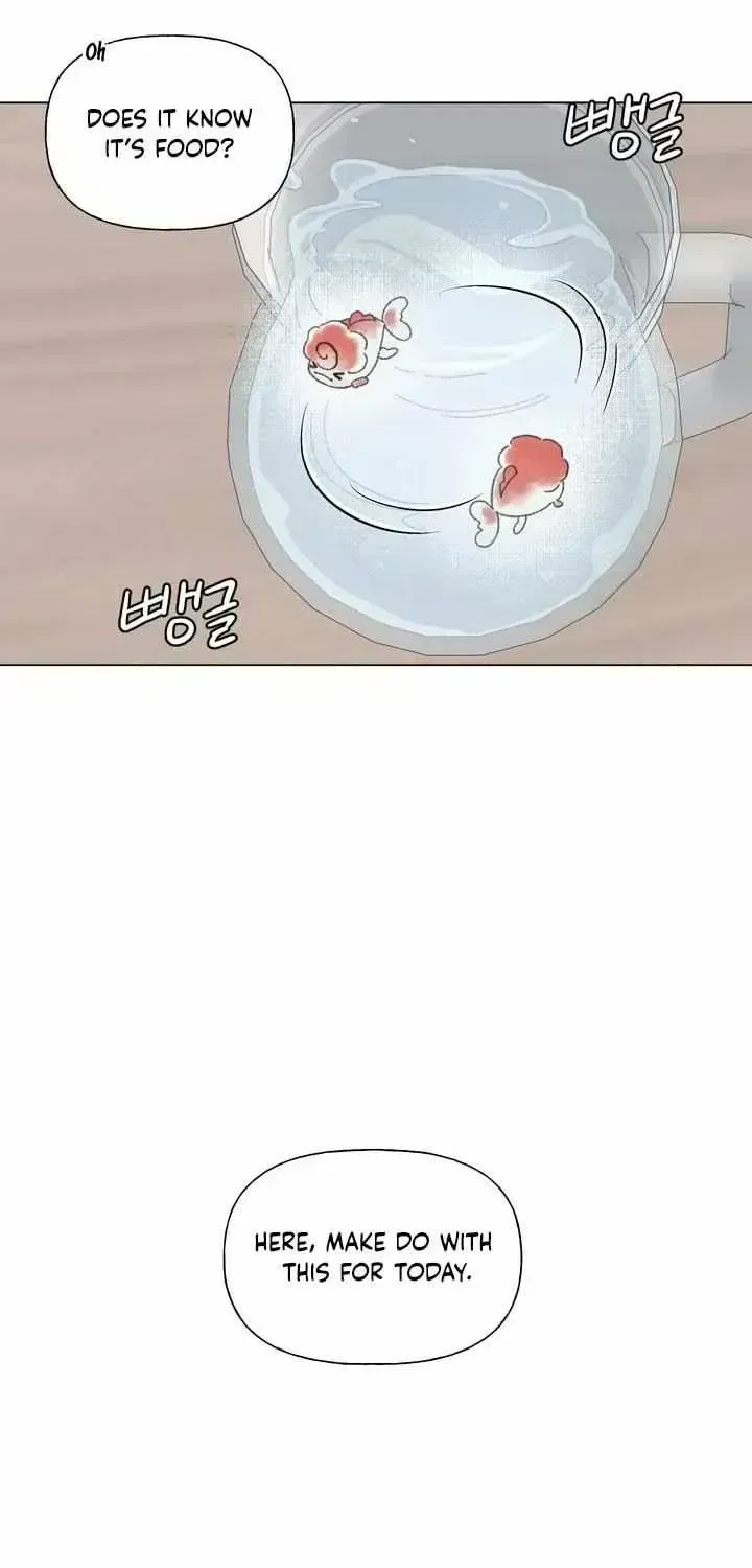 Winsome Oranda Chapter 1.3 page 30 - 