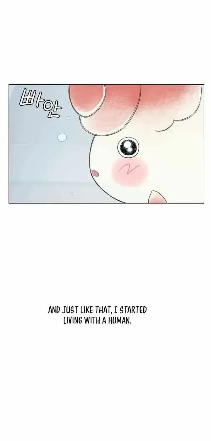 Winsome Oranda Chapter 1.3 page 34 - 