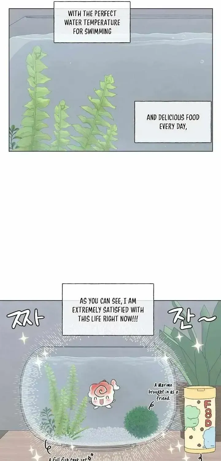 Winsome Oranda Chapter 1.3 page 37 - 