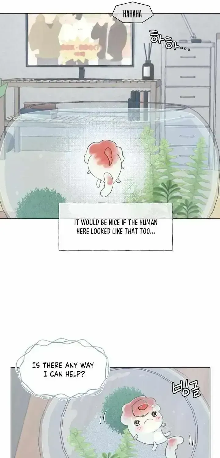 Winsome Oranda Chapter 1.4 page 44 - 