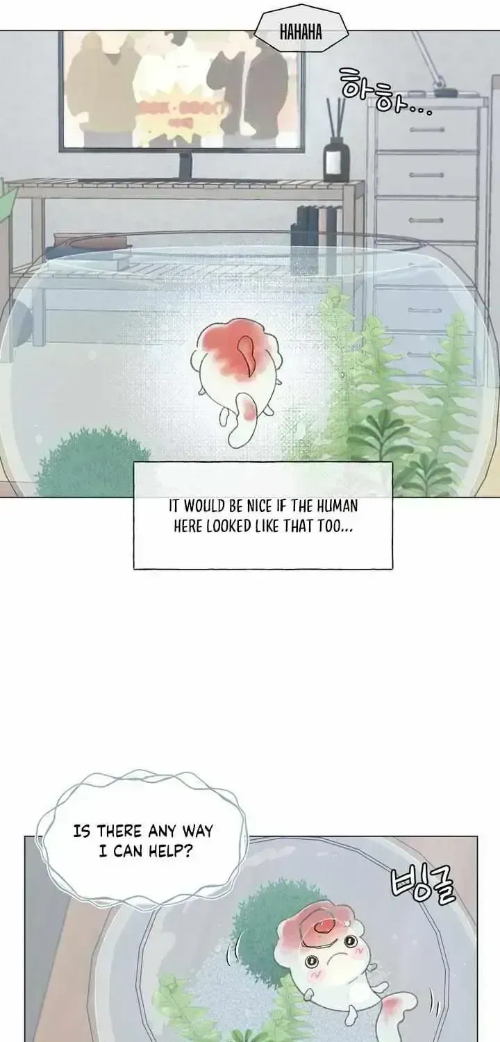 Winsome Oranda Chapter 1.5 page 44 - 