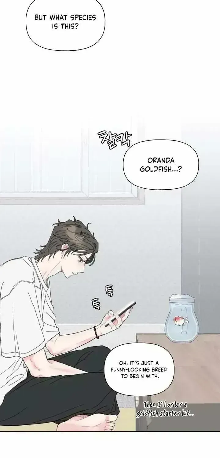 Winsome Oranda Chapter 1.6 page 33 - 