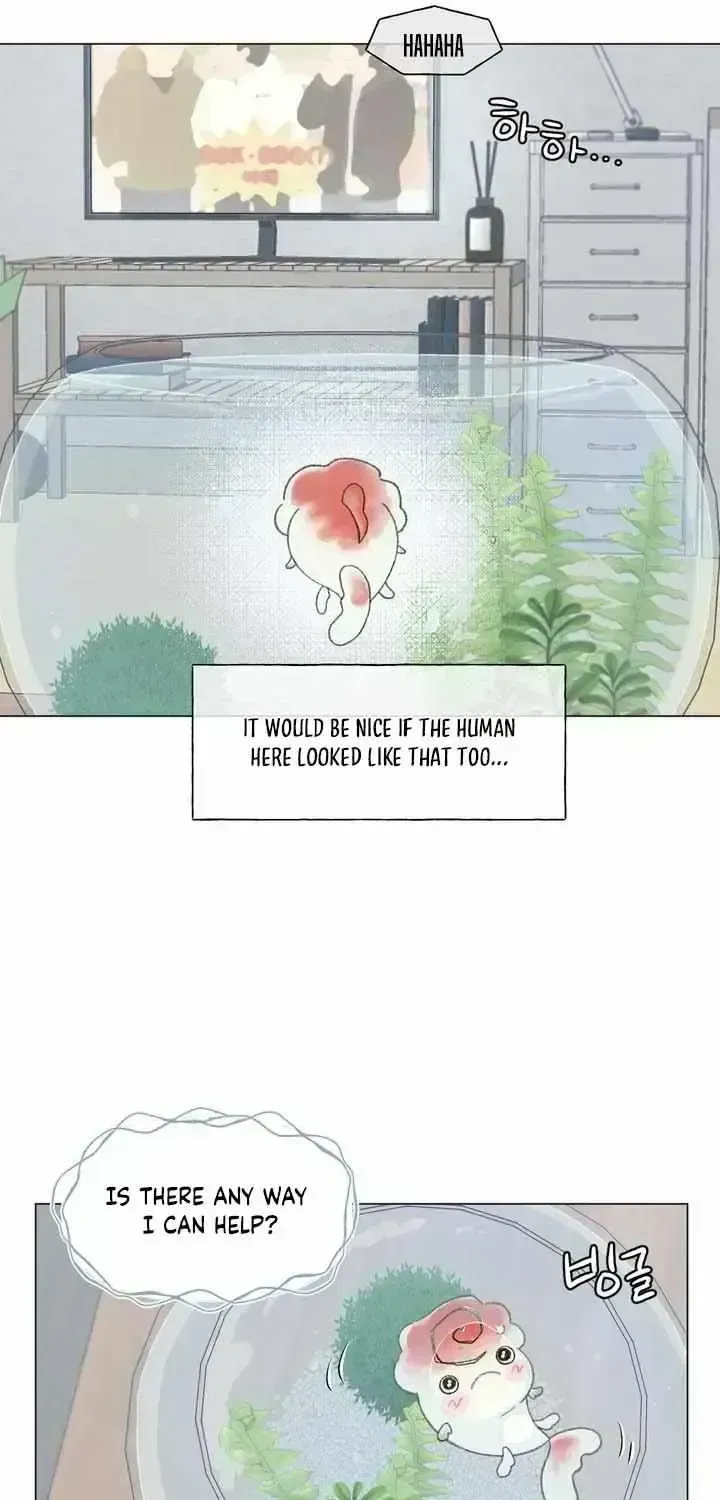 Winsome Oranda Chapter 1.6 page 44 - 