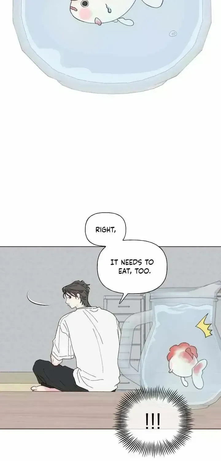Winsome Oranda Chapter 1.7 page 27 - 