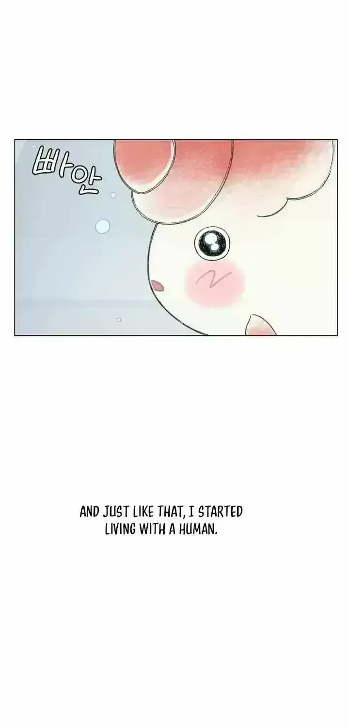 Winsome Oranda Chapter 1.7 page 34 - 