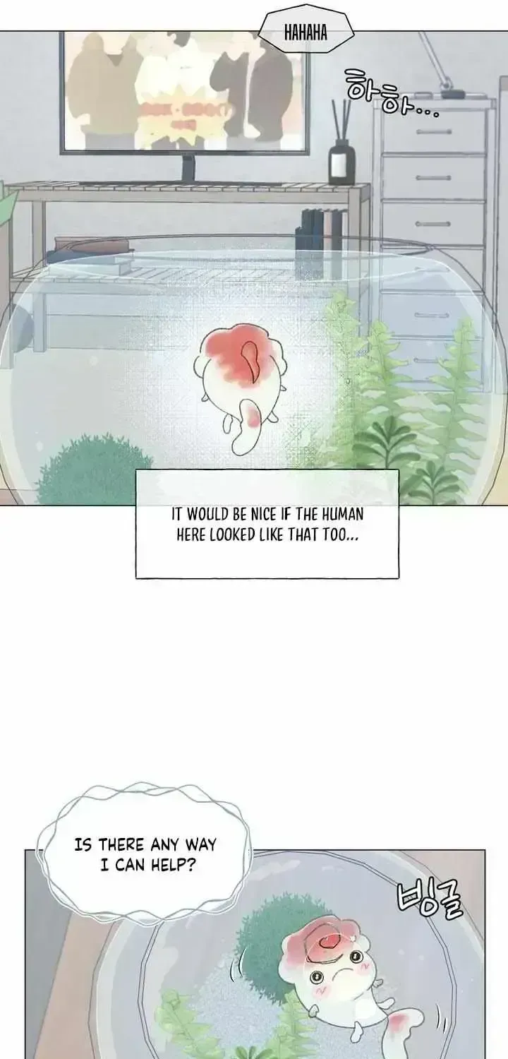 Winsome Oranda Chapter 1.7 page 44 - 