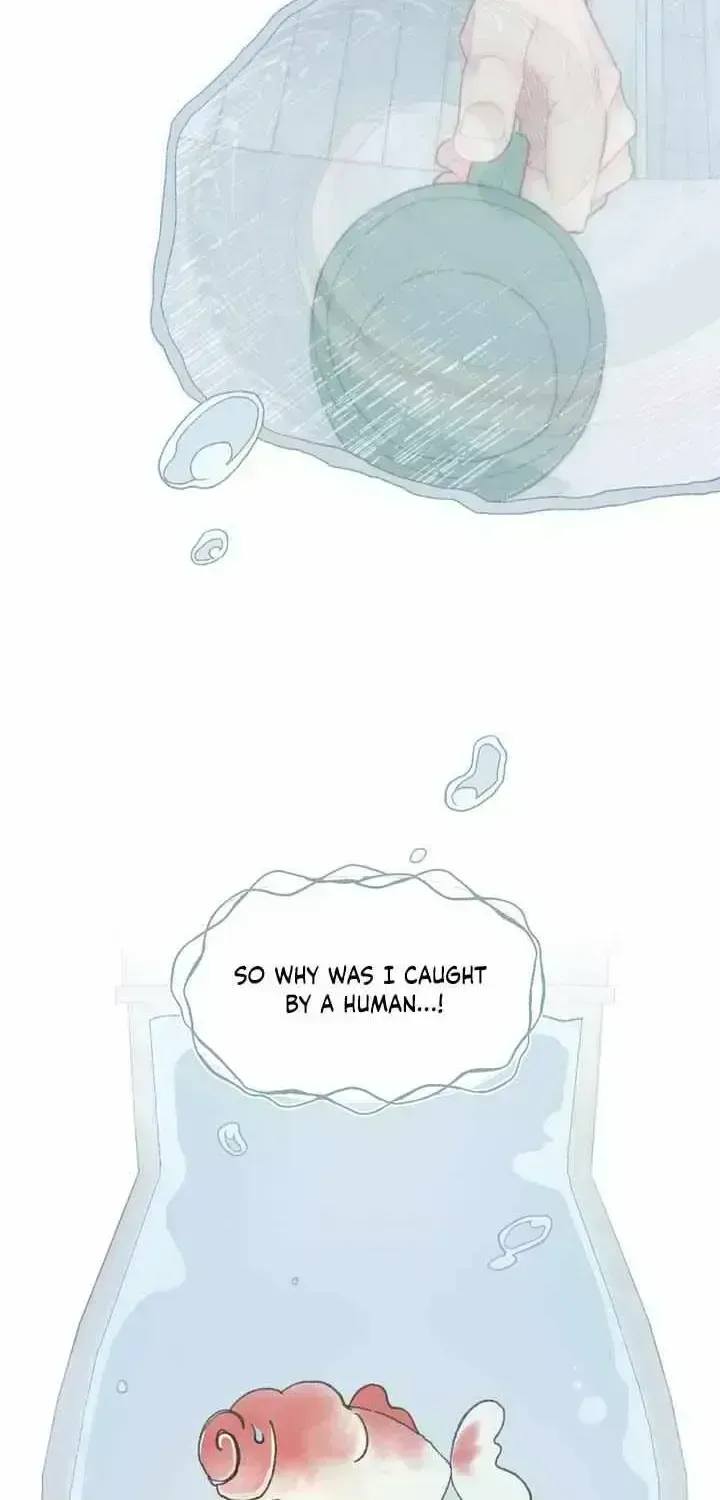 Winsome Oranda Chapter 1.8 page 26 - 