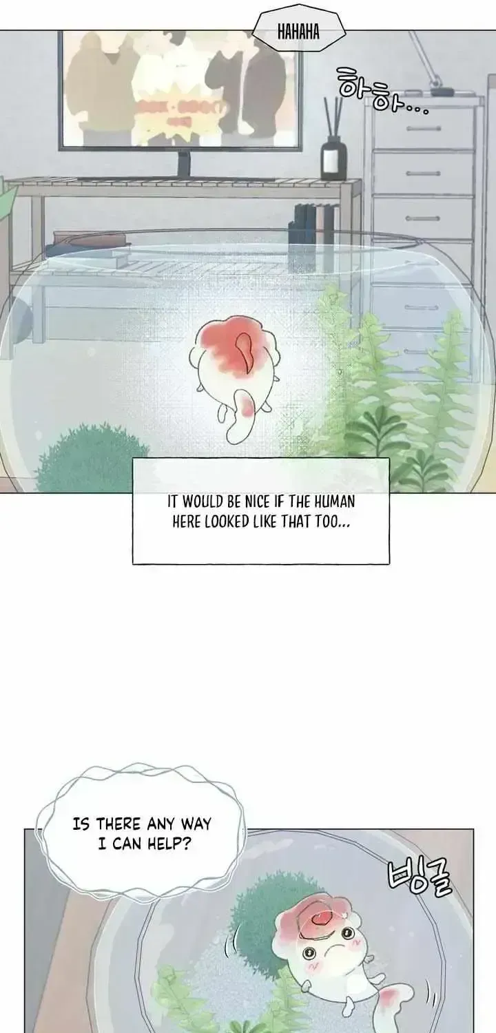 Winsome Oranda Chapter 1.8 page 44 - 