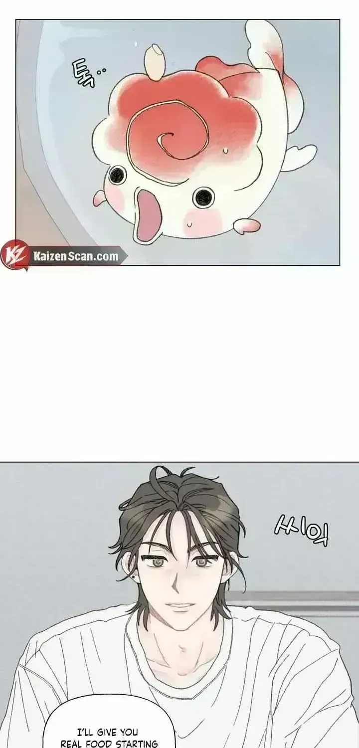 Winsome Oranda Chapter 1.9 page 31 - 