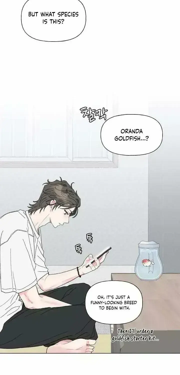 Winsome Oranda Chapter 1.9 page 33 - 