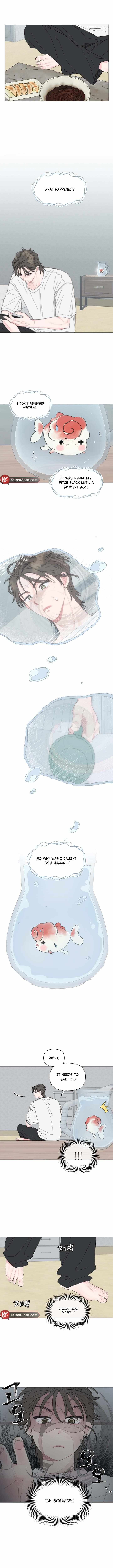Winsome Oranda Chapter 1 page 6 - 