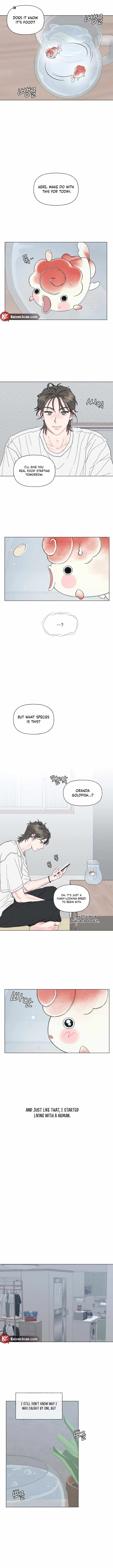 Winsome Oranda Chapter 1 page 7 - 