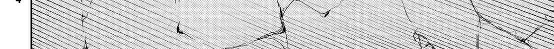 Wistoria: Wand and Sword Chapter 1.2 page 28 - 