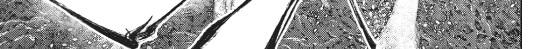 Wistoria: Wand and Sword Chapter 19 page 2 - 