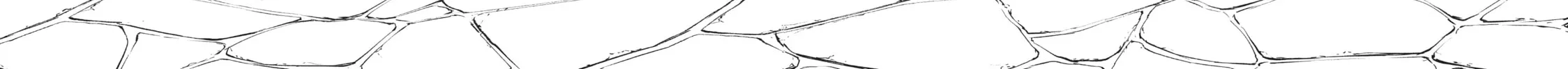 Wistoria: Wand and Sword Chapter 23 page 54 - 