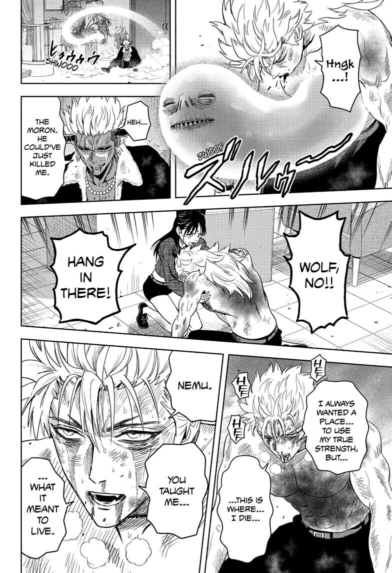 WITCH WATCH Chapter 246 page 16 - 