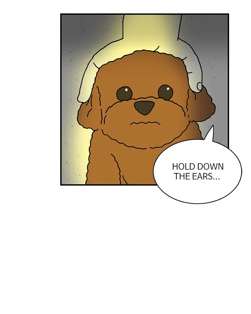 With Tony Chapter 27 page 36 - 