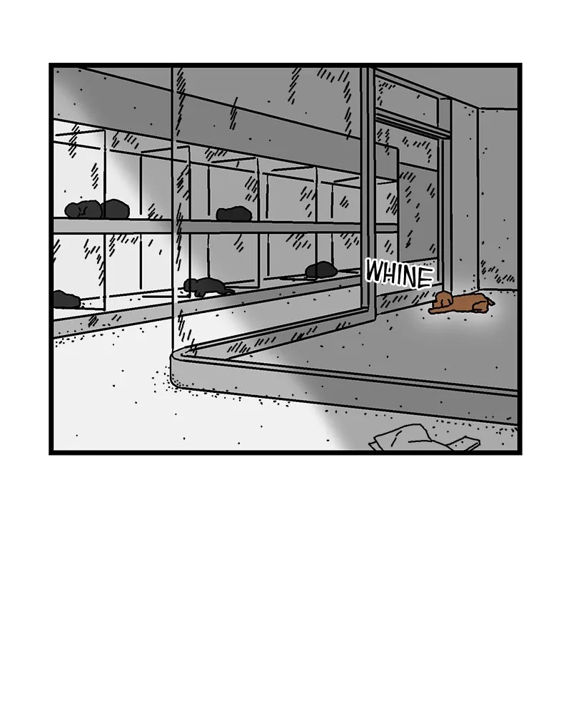 With Tony Chapter 3 page 66 - 