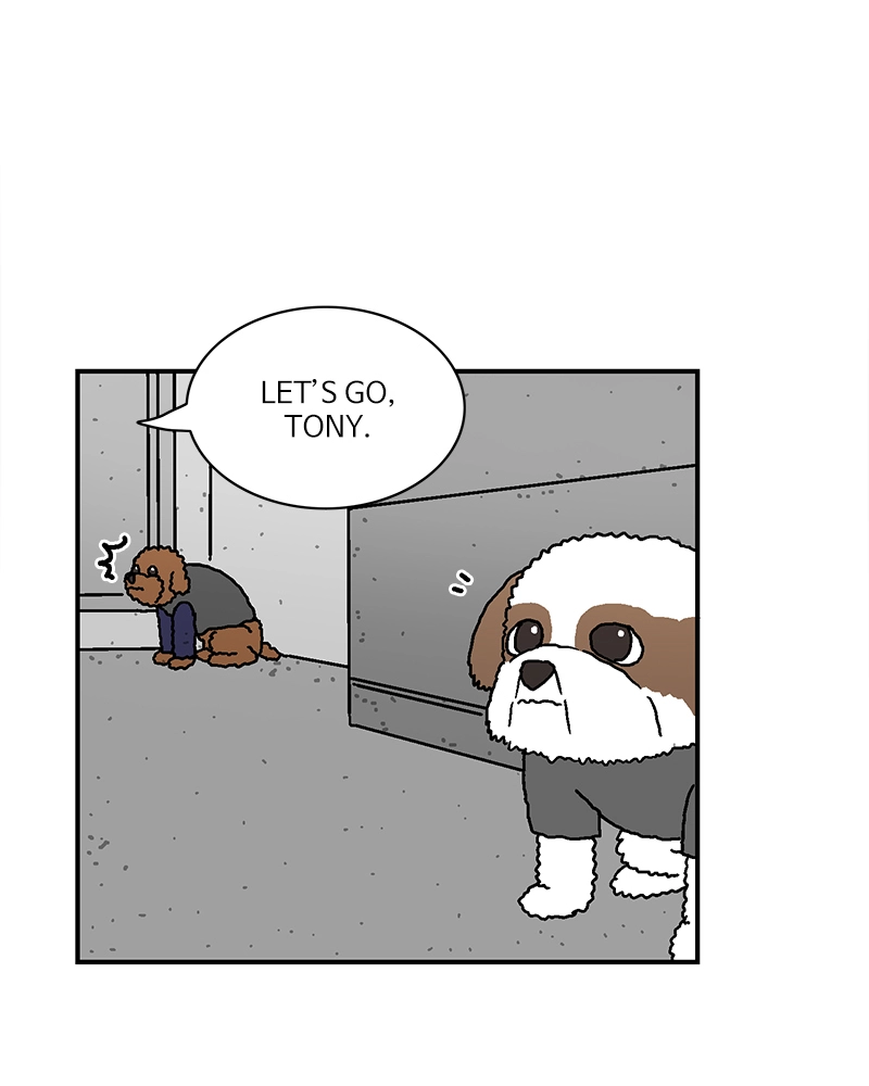 With Tony Chapter 49 page 13 - 
