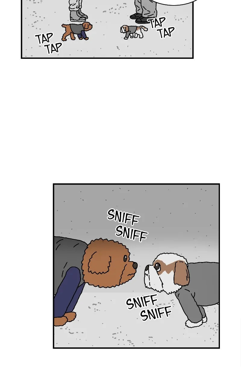 With Tony Chapter 53 page 49 - 