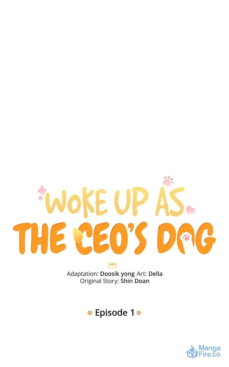 Woke Up as the CEO